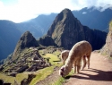 Ekvador-Peru_15_Machu_Picchu