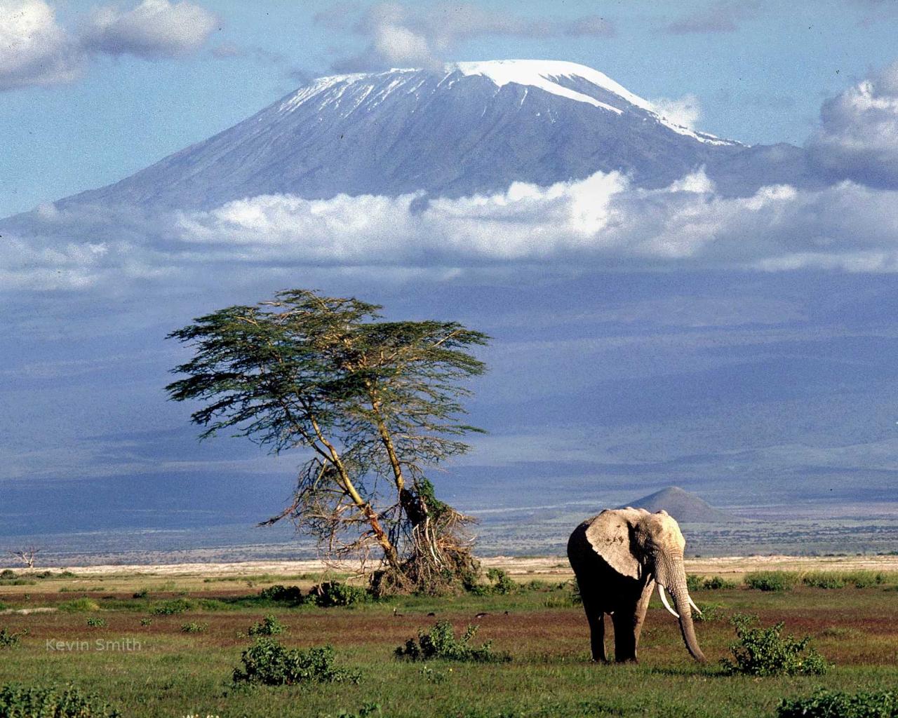 Paysage panorama kilimanjaro Banque d'images vectorielles - Alamy
