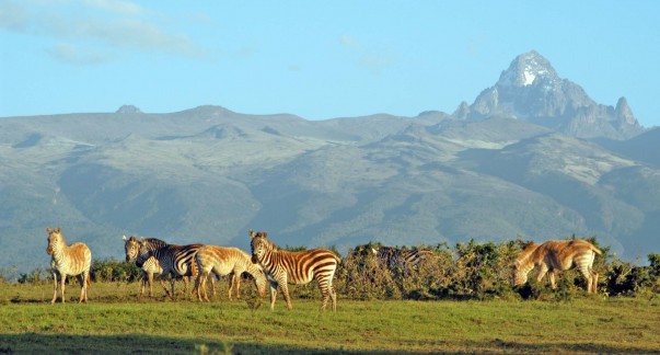 Mount_Kenya__7